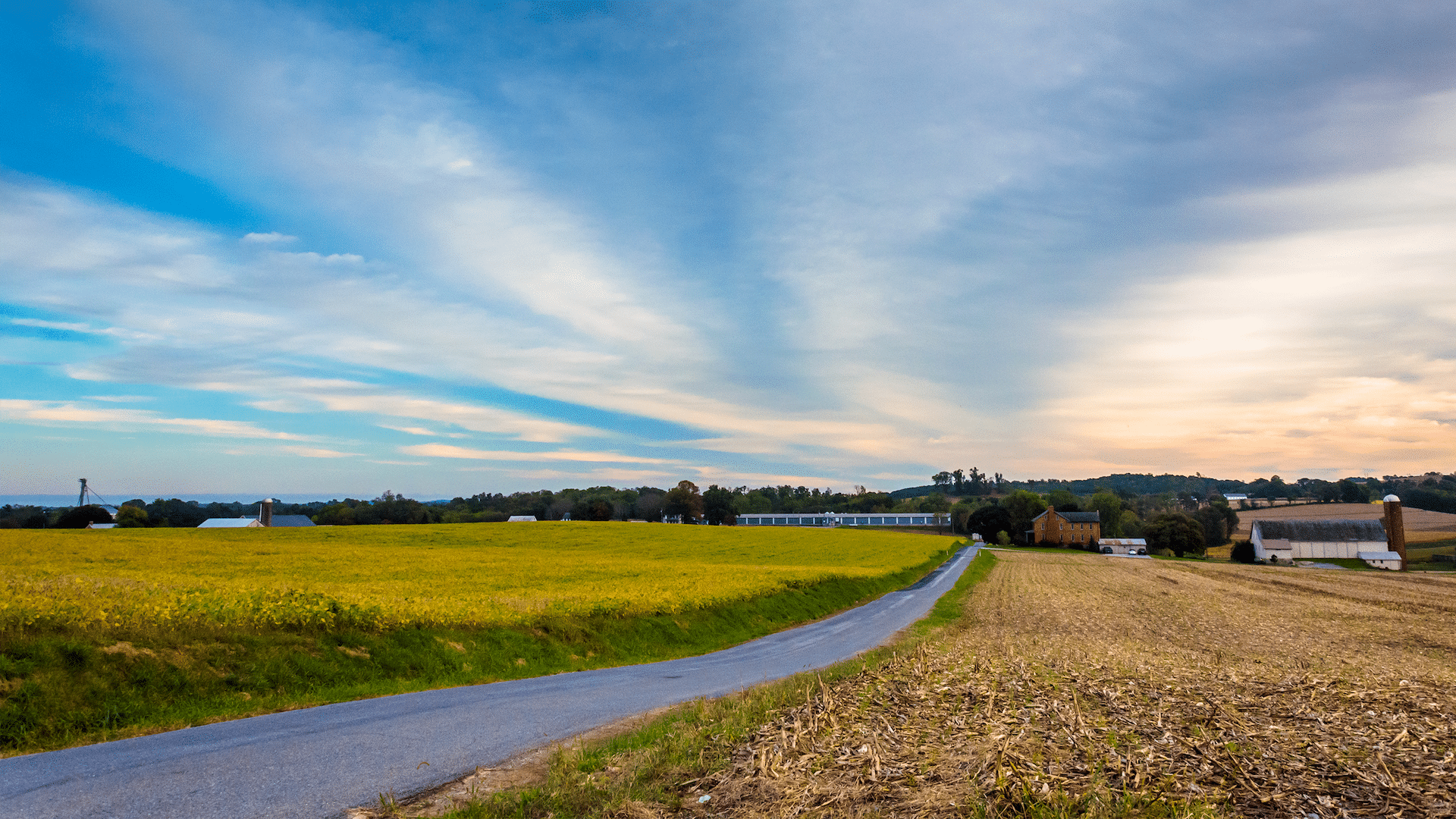 a field in rural Pennsylvania